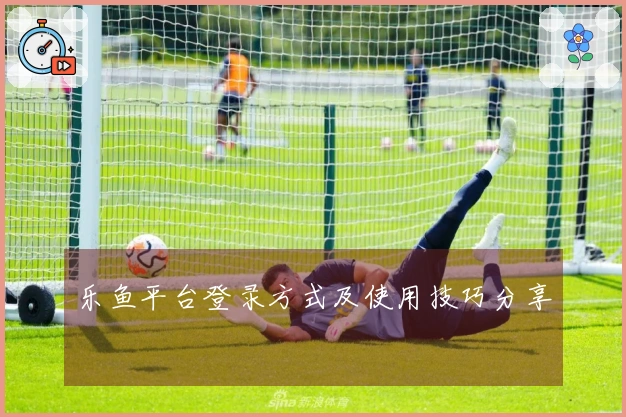 乐鱼平台登录方式及使用技巧分享