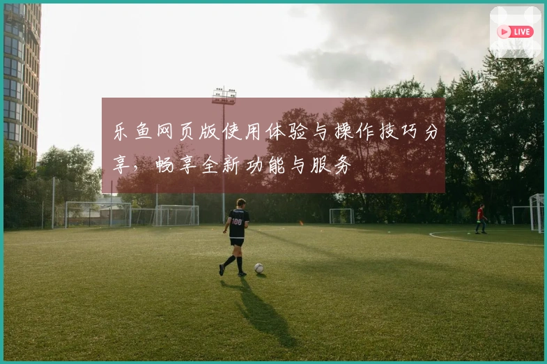 乐鱼网页版使用体验与操作技巧分享，畅享全新功能与服务