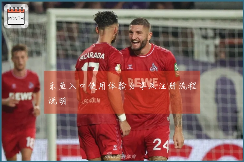 乐鱼入口使用体验分享及注册流程说明