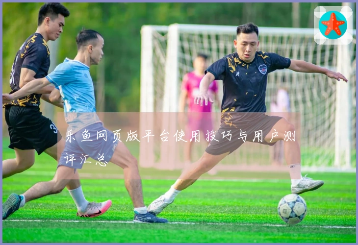 乐鱼网页版平台使用技巧与用户测评汇总