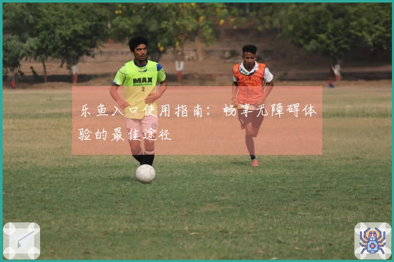 乐鱼入口使用指南：畅享无障碍体验的最佳途径