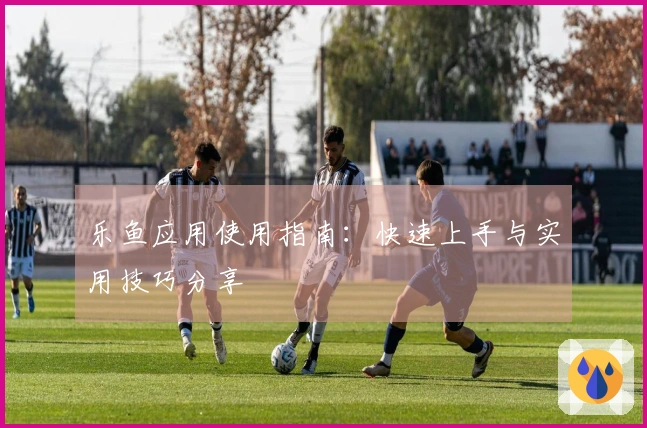 乐鱼应用使用指南：快速上手与实用技巧分享